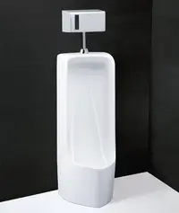 在飛比找Yahoo!奇摩拍賣優惠-《101衛浴精品》凱撒 CAESAR 外露式水力發電感應沖水