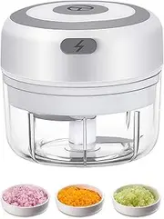 Electric Mini Food Chopper, 100ML USB Garlic Mincer, Portable Small Processor for Vegetables, Onion, Ginger, Chili