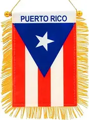 Anley 4 X 6 Inch Puerto Rico Fringy Window Hanging Flag - Mini Flag Banner & Car Rearview Mirror Décor - Fringed Puerto Rican Hanging Flag with Suction Cup