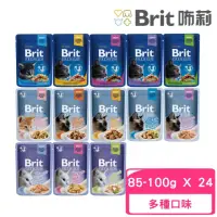 在飛比找momo購物網優惠-【Brit咘莉】優選餐包系列 85-100g*24包組（幼貓