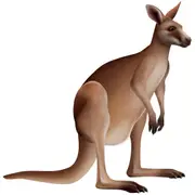 Kangaroo Jointed Cutout Wall Decoration