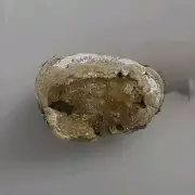 5" X 3" Geode 1 Lb 12 Oz