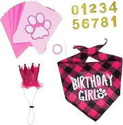 ibasenice 1 Set Pet Birthday Outfit Cute Dog Birthday Clothes with Bandana Party Hat Decorations for Celebrating Your Special Day