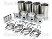MyTractor Piston Ring and Liner Kit For Massey Ferguson Z129 Z134 Continental