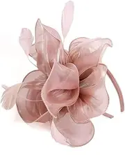 [HIDOLL] Fascinator Hat Feather Mesh Net Veil Party Hat Ascot Hats Flower Derby Hat with Clip and Hairband for Women
