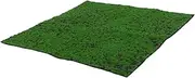 ROMISBABA Artificial Grass Dog Potty Training Rug Realistic Synthetic Turf Mat for Outdoor Use Versatile Lawn Decoration for Patios Gardens and Home Decor Easy to Install and Enhance