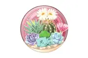 PopSockets Universal Licensed PopGrip Bulbasaur Terrarium