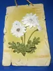 Welcome Sign "WHITE DAISEY'S" Porch Home Decor 3 Dimension Resin Thick