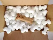 FunPak Packing Peanuts Dog Bone Shaped 1.5 cu ft Bag Compostable Biodegradable