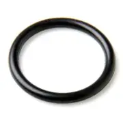 Chromagen Heat Pump Spare Parts: Midea 170L HP Element O-Ring Seal