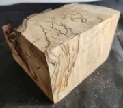 Gorgeous Live Edge Spalted Maple Burl Block Blank 6.25" x 6" x 4.5"