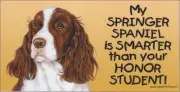 Springer Spaniel Smarter Than Your Honor Student Magnet 4x8 refrigerator car dog