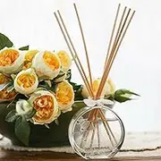 100x Premium Quality Nature Reed Diffuser Reeds Rattan Stick Bulk Pack 3mm 200mm