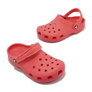 Crocs 洞洞鞋 Classic Clog K 中大童 西瓜紅 經典 克駱格 童鞋 涼拖鞋 卡駱馳 2069916VT