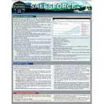 SALESFORCE: A QUICKSTUDY LAMINATED REFERENCE GUIDE