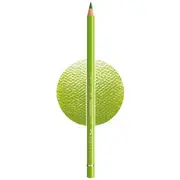 Faber-Castell Polychromos Pencil May Green 170