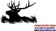 ELK HEAD #3 Decal Sticker JDM HUNTING Funny Vinyl Car Window Bumper Truck 12"