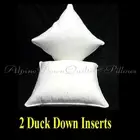 DUCK 50% DOWN FEATHER SCATTER CUSHIONS INSERTS X 2 - 65 x 65cm AUSTRALIAN MADE