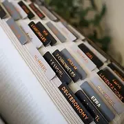Salt Light Essentials - Black Gradient - Copper Foil - Matte Coated - Bible Tabs - Journaling - Beautiful Index Tabs - 66 Books + Extra - Laminated - Durable - High Quality - Neutral - Women & Men