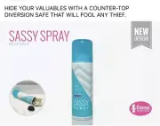 NEW Damsel Hide Valuables Cash Jewelry Fake Hairspray Can Travel Home SAFE