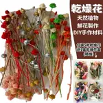 【A-ONE】乾燥花素材 永生富貴豆 3色混搭 永生花 材料包 DIY 浮游花 蠟燭材料 繡球花 苔癬 千日紅 A25