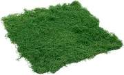 HYTROVE Micro Landscape Artificial Moss Turf Lifelike Fake Moss for DIY Gardening Bonsai Terrariums and Home Decor Ornamental Grass Mat for Creative Landscaping