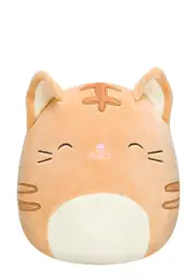 [Squishmallows] 16" Nathan The Tabby Cat Plush