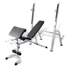 Fitness Multi-station Gym Weight Bench Curl Press Incline AB Exercise vidaXL