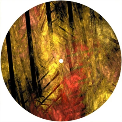 Slipmat Slip Mat 4 Technics or Single 7" 45 Turntable Record Player ABSTRACT 39