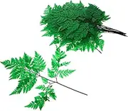 Home Desk Ferns Decoration Bundle Dried Ferns Arrangement for Centerpieces for Home Decor Weddings Parties and DIY Projects