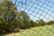 Anti Bird Netting - Black - UV Treated - 5m x 5m - Fruit Tree Net