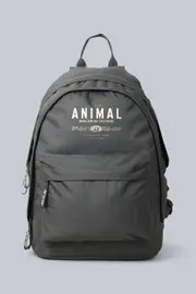 Graphic 30L Backpack