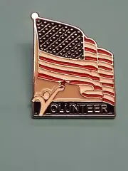 VA (Veterans Affairs) Voluntary Service Pins 1.25 inch, bag of 100