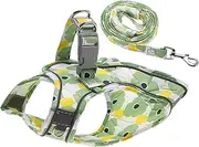 CAPASTEC Puppy Dog Harness and Leash Set W/Reflective Strip, Magic Tapes Pet Harness Adjustable for Walkings, Pet Harness for Small Medium Dog Cat, M, Green