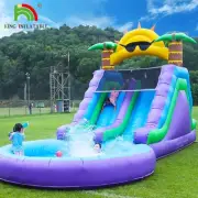 Inflatable Water Slide Kids Jumping Castle Outdoor Pool Slide Bouncer Climb Wall