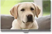 [VFMKT] Slim Metal Business Card Holder Portable Business Card Case Pocket Name Card Holder Cute Labrador Dog Wallet for Men Women Office Travel, style, One Size