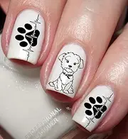 Maltese Dog Puppy Nail Art Decal Sticker