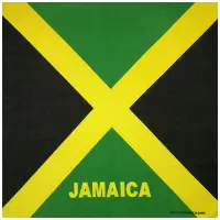 在飛比找蝦皮購物優惠-Xy Jamaica Flag 中性方形頭巾棉質頭巾 Bik