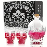 NNETM 2-Piece Skull Decanter Set - 750ml Crystal Wine Decanter