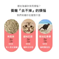 在飛比找蝦皮購物優惠-100g20元批發最低價 貓咪除臭專用 活性碳 沸石 柱狀 