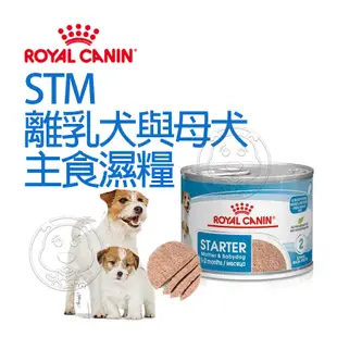 《 ROYAL CANIN 法國皇家》成犬專用濕糧 吉娃娃 貴賓 臘腸 約克夏 泌尿道 皮膚保健 體重控制【培菓寵物】