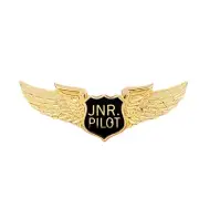 Jr. Pilot Airline Gold Tone Collectible Lapel Hat Pin