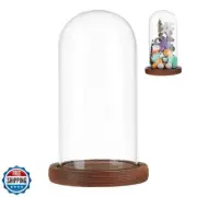 NBEADS Clear Glass Dome, Clear Glass Display Case with Camel Wood Base Decora