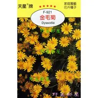 在飛比找蝦皮購物優惠-【萌田種子~花卉種子】Y73 金毛菊Dyssodia~穗耕種