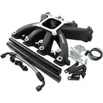 Aeroflow GM LS Carby Intake Manifold Cathedral Port EFI LS1 LS2 Black Aeroflow - AF6250-5000