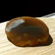 Agate Geode Slice Polished Display Stone Brown Crystal White Band 4.25 Inches