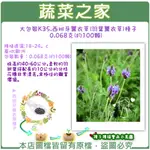 蔬菜之家滿額免運【00K35】大包裝.西班牙薰衣草(羽葉薰衣草)種子0.068克(約100顆)