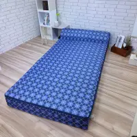在飛比找momo購物網優惠-【Summer台灣製造】格紋藍單人免組裝多功能2折彈簧沙發床