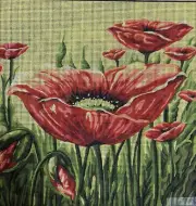 "Poppy" Printed Canvas for Needlepoint Tapestry Gobelin Embroidery 46377