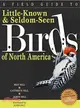 A Field Guide to Little-Known & Seldom-Seen Birds of North America